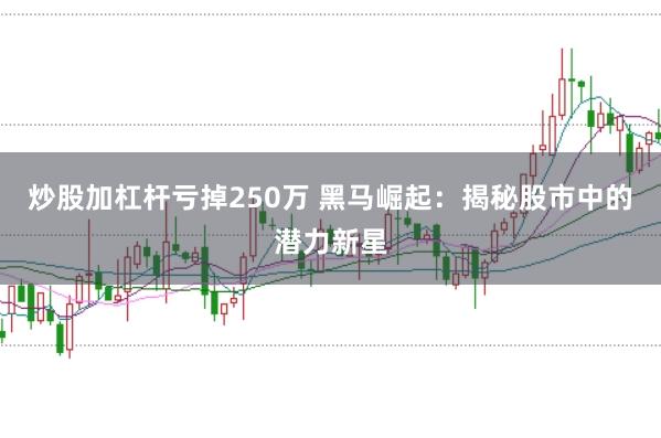 炒股加杠杆亏掉250万 黑马崛起：揭秘股市中的潜力新星