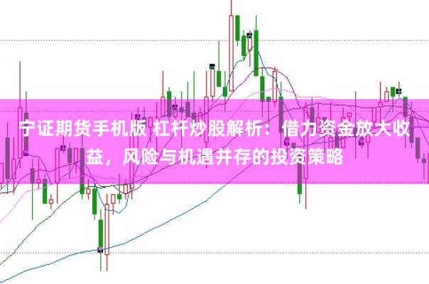 宁证期货手机版 杠杆炒股解析：借力资金放大收益，风险与机遇并存的投资策略