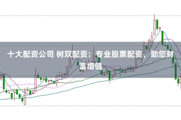 十大配资公司 树双配资：专业股票配资，助您财富增值