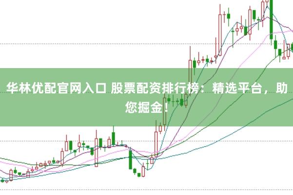 华林优配官网入口 股票配资排行榜：精选平台，助您掘金！