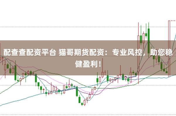 配查查配资平台 猫哥期货配资：专业风控，助您稳健盈利！