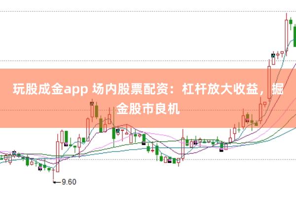 玩股成金app 场内股票配资：杠杆放大收益，掘金股市良机