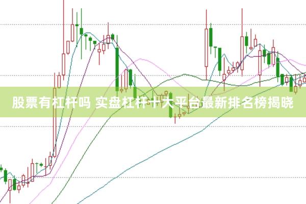 股票有杠杆吗 实盘杠杆十大平台最新排名榜揭晓