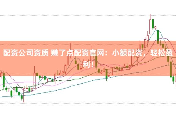 配资公司资质 赚了点配资官网：小额配资，轻松盈利！