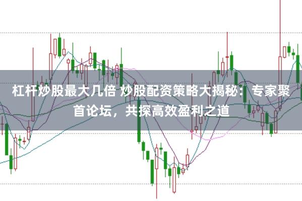 杠杆炒股最大几倍 炒股配资策略大揭秘：专家聚首论坛，共探高效盈利之道
