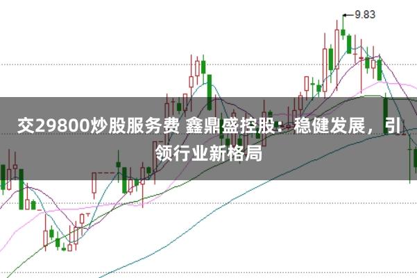 交29800炒股服务费 鑫鼎盛控股：稳健发展，引领行业新格局
