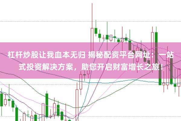 杠杆炒股让我血本无归 揭秘配资平台网址：一站式投资解决方案，助您开启财富增长之旅！