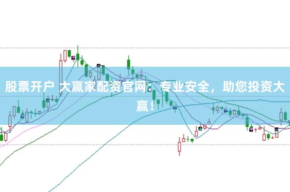 股票开户 大赢家配资官网：专业安全，助您投资大赢！