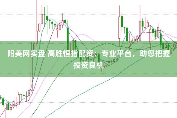 阳美网实盘 高胜恒指配资：专业平台，助您把握投资良机
