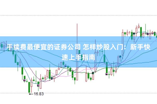 手续费最便宜的证券公司 怎样炒股入门：新手快速上手指南