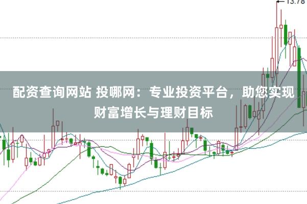 配资查询网站 投哪网：专业投资平台，助您实现财富增长与理财目标