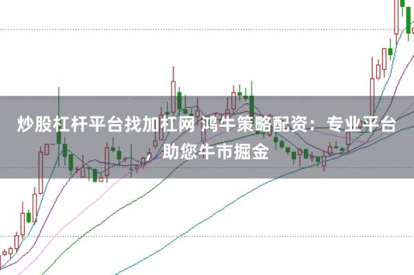 炒股杠杆平台找加杠网 鸿牛策略配资:专业平台,助您牛市掘金