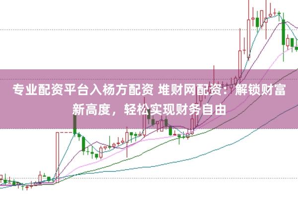 专业配资平台入杨方配资 堆财网配资:解锁财富新高度,轻松实现财务自由