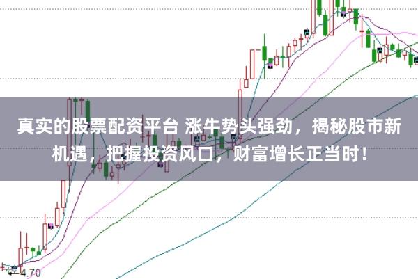 真实的股票配资平台 涨牛势头强劲,揭秘股市新机遇,把握投资风口,财富增长正当时!