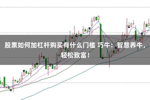 股票如何加杠杆购买有什么门槛 巧牛:智慧养牛,轻松致富!