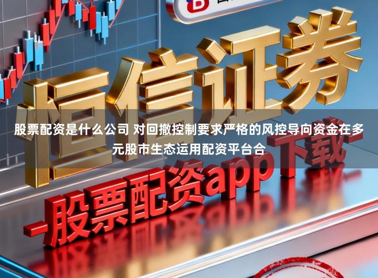 股票配资是什么公司 对回撤控制要求严格的风控导向资金在多元股市生态运用配资平台合