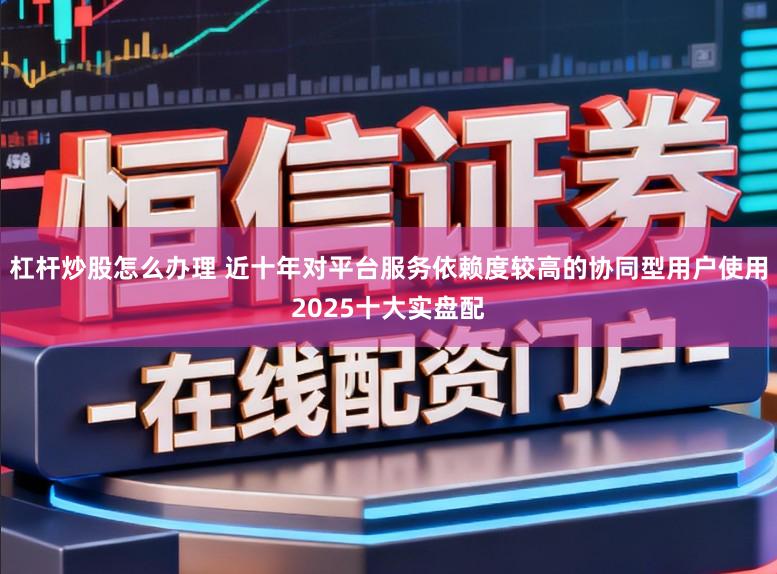 杠杆炒股怎么办理 近十年对平台服务依赖度较高的协同型用户使用2025十大实盘配