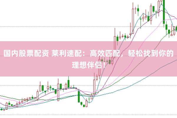 国内股票配资 莱利速配:高效匹配,轻松找到你的理想伴侣!